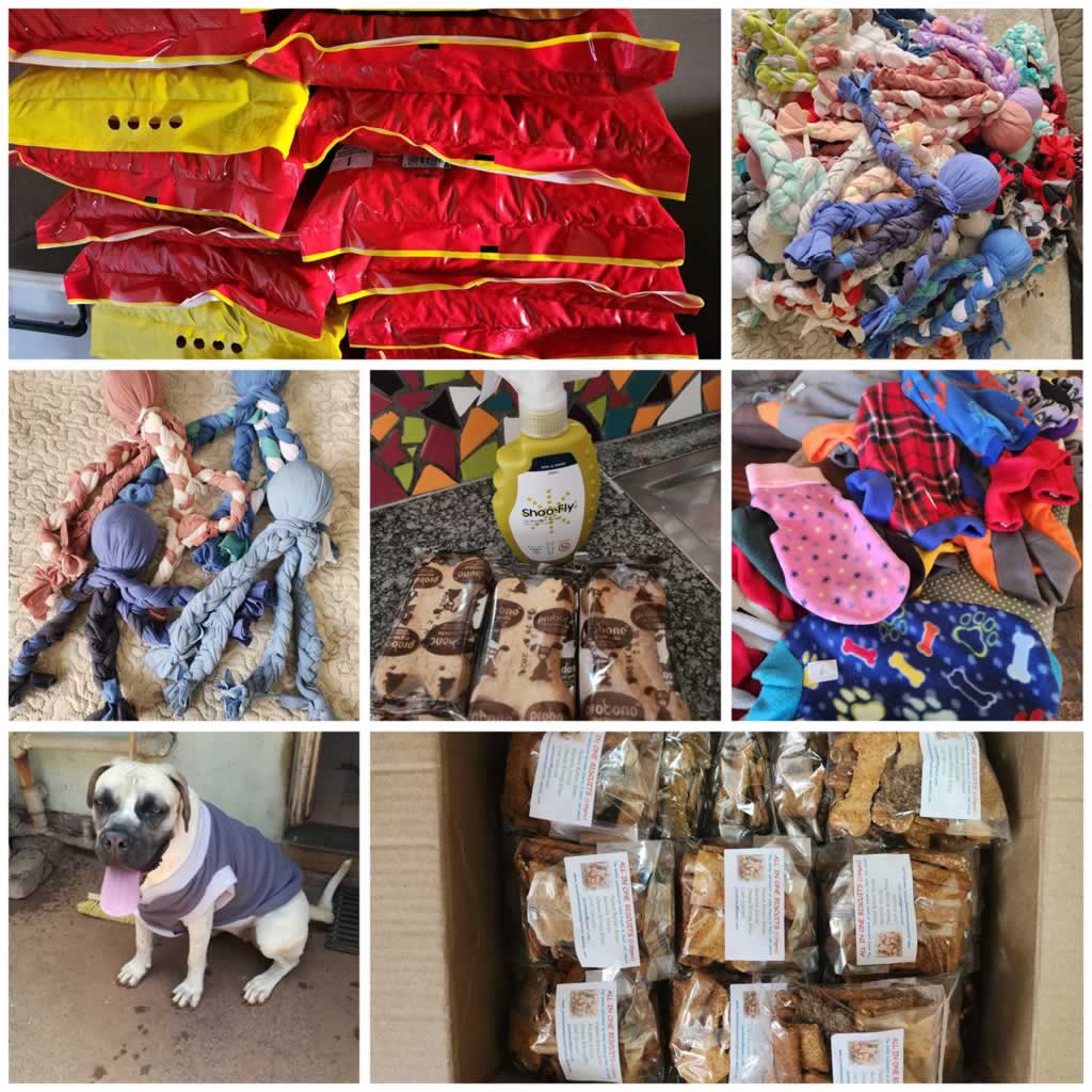 Thaba Tshwane Dogs